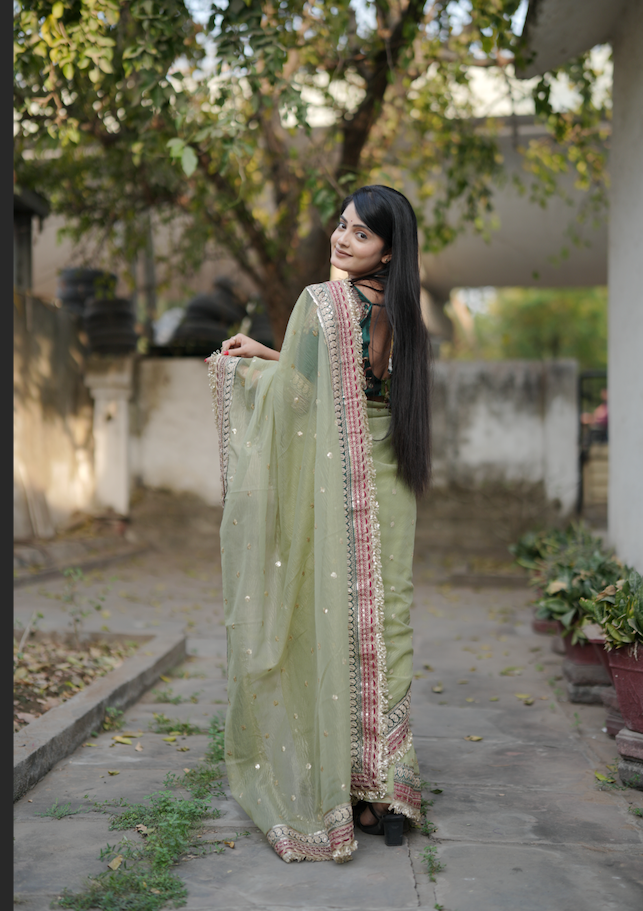 Kalikar Heavy Twilve banarasi crush Fark Laces Border Green Mengo- Pista